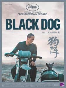 black-dog-ZfVWVKRR